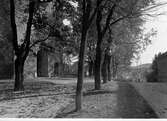 Kyrkbacken vid Stora Kyrkogatan år 1922.