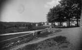 Vy från Vattentornet med hus vid Vedensgatan år 1932.