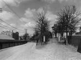 Olovsholmsgatan (Kärleksstigen) mot norr med Olofsholm t.h. år 1925.