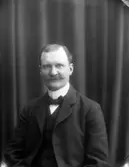 Axel Fredrik Vennersten Riksdagsman, Industriman.