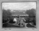 Hotell Borås, repro trädgård.