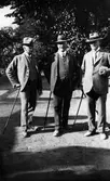 Tre män står på en grusgång i Köpenhamn, i bakgrunden syns några träd. 

Från vänster: Harald Wallerstedt, Arthur Wallerstedt, Albert Michelsen.