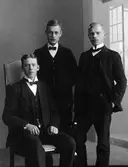 Tre män, samtliga från Maryd. Troligen är fotografiet taget i samband med deras mönstring till det militära ca 1914.

Från vänster: Natanael Gustafsson, Ludvig Andersson, Helge Stenström.