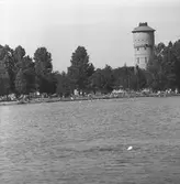 Badreportage vid Gustavsvik. 
6 juli 1959.