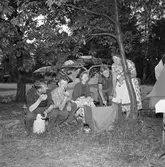 Campingplatser. 
7 juli 1959.