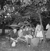Campingplatser. 
7 juli 1959.