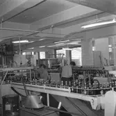 Wasabryggeriet. 
10 juli 1959.