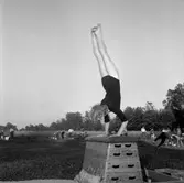 Spänst folk i farten vid Hästhagen. 
10 juli 1959.