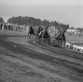 Rafflande fartfest på Marieberg. 
13 juli 1959.