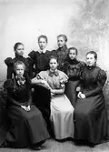 Sju unga kvinnor i en gruppbild fotograferade i en ateljé.