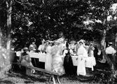 Troligen Alingsåsdamer på utflykt.