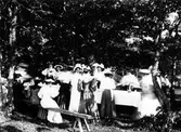 Troligen Alingsåsdamer på utflykt.