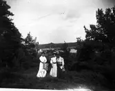 Tre kvinnor i en glänta. I bakgrunden skymtar Bomullsväveriet vid sjön Gerdsken.