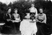 Okänd grupp kvinnor. Eventuellt är bilden tagen i Jämtland och en av kvinnorna är eventuellt Hanna Eriksson, gift med Johannes Eriksson vars son Teodor Eriksson var bygdefotograf i bland annat Bergstena.

På fotografiet står: 