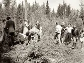 Elever och lärare från Kållered är på skolresa år 1937. Skolresan gick genom Dalsland/Värmland till den norska gränsen och anordnades av Daga och Gunnar Alander (folkskollärare i Kålleredsskolan). Ingrid Andersson (1918 - 2001, gift Skansing) var medhjälpare på resan. 
Relaterade motiv: A3101, A3103 - A3108.