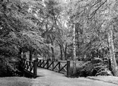 Träbro i Nolhaga park.