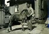 Edvin Bengtsson (1880 - 1969) med ett litet föl, Långåker 1:3 