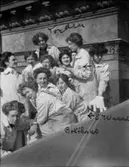 Bild från Harriet Löwenhielms liv.