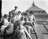 Bild från Harriet Löwenhielms liv.