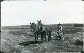 Västerfärnebo sn, Sala kn, Finnbo.
Oskar Pettersson på slåttermaskin, c:a 1915.