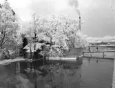 Viskaberg i rimfrost, mot Södra Torget.