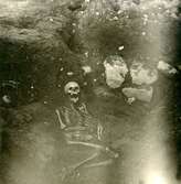 Skelett påträffat vid Skanslyckan i Kalmar.