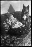 Spädbarn tillsammans med hund