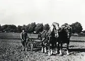 Sådd på en åker vid Teleborgs slott. En man kör med två hästar. 1940-tal.