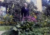 Olof Olsson (1883 - 1958) står i sin trädgård omgiven av blommor, 