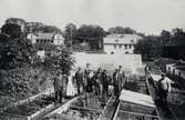 Växjö stads växthus i nuv. Linnéparken, Växjö. Stadsträdgårdsmästare Carl Hjelmberg med personal.
Ca. 1915.