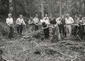 Växjö Norra (idrottsförening). Vedhuggning i Husebyskogen, 1943.