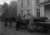 Älgjakt på Dömle 1935