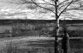 Man vid träd betraktar landskapsvy, förmodligen Frykens södra ände.
Fotografens ant: Konsulent Rystedt.