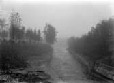 Naturbild.
Fotografens ant: Disponent Forsberg. 15/10 1914. Dejefors Bruk.