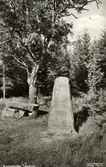 Kungastenen, Tingsryd. 1940-tal.