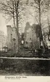 Bergkvara slottsruin. Tidigt 1900-tal.