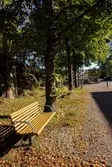 Sittbänk och träd längs med Almåsgången i Lindome centrum, den 4 oktober 2016. Vy mot öster.