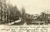 Åseda, 1902. Vy med bostadshus.