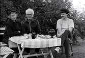 Familjen Ekman sitter i trädgårdsmöblerna vid sitt sommarhus i Blekinge, 1980-tal. Från vänster: Mary Ekman (1920 - 1988, född Ekdahl), Björn Ekman (1913 - 1992) samt sonen Manne Ekman (född 1955). Familjen bodde i Vommedal Östergård 