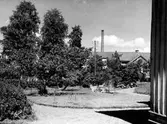Storgatan 54, trädgården. Från NM:s byggnadsinventering 1957