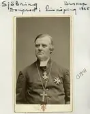 Pehr Sjöbring (1819-1900)