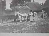 Hästekipage med en vit häst, två män i kärran och en som håller hästen. Vid vagnen står två kvinnor i hucklen. De står vid en högloftsstuga i Årstad med hög vit skorsten, halmtak och ett takfönster i ryggåsstugan i mitten.