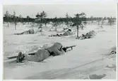 Finnarna vid Saija by på Karelska näset år 1941.