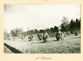 32 Hallstad.
