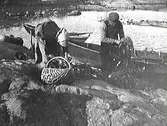 En kvinna och en man som samlar ihop fiskeredskap på en bergknalle intill båtar i en havsvik.
(Se även bildnr VMA6718_7)