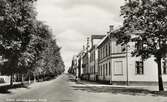 Södra Järnvägsgatan, Växjö, ca 1940, i korsningen mot Tegnérgatan. Närmast i bild (t. vänster) kvarteret Eko (Södra Järnvägsgatan 17), följt av några hus i kvarteret Argus.