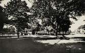 Linnéparken med järnvägsbron, Växjö, 1910-tal. 
Till höger syns en del av Norra Järnvägsgatan med kvarteren Kristina och Linné.