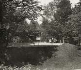 Kullen i Linnéparken, ca 1910. Två kvinnor i olika åldrar har placerat sig i solen tillsammans med några småbarn.