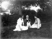 Två kvinnor och en man tillsammans med en hund i en trädgård. Personerna på bilden är troligtvis bekanta med fotografen, Nanny Ekström.