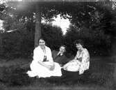 Två kvinnor och en man tillsammans med en hund i en trädgård. Personerna på bilden är troligtvis bekanta med fotografen, Nanny Ekström.